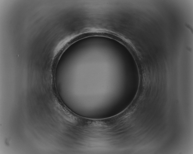 X0000103461319200809121554