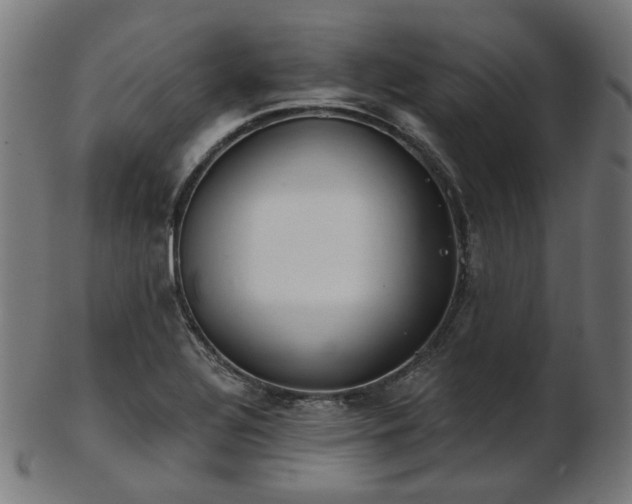 X0000103461320200809121554