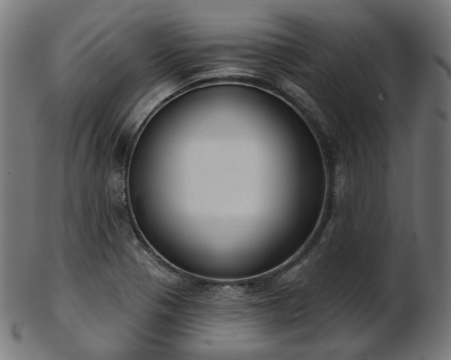 X0000103461321200809121554