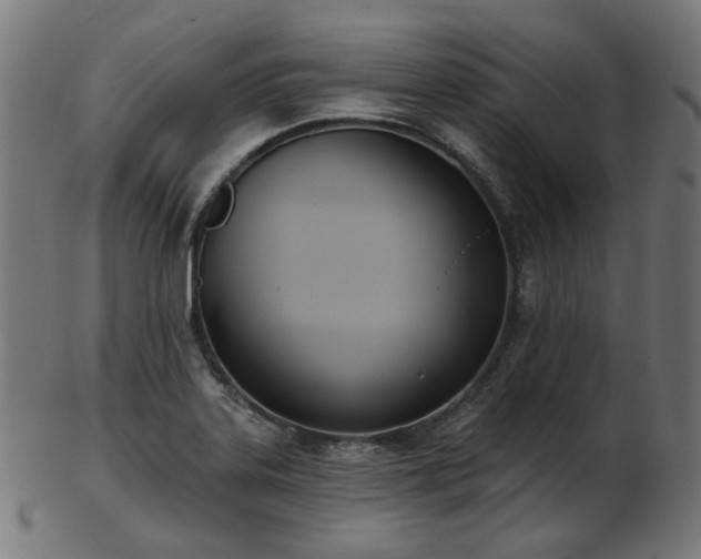 X0000103461323200809121554