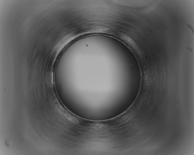 X0000103461324200809121554