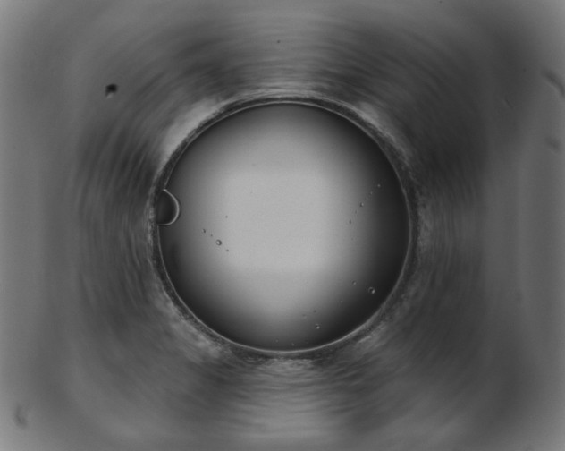 X0000103461325200809121554