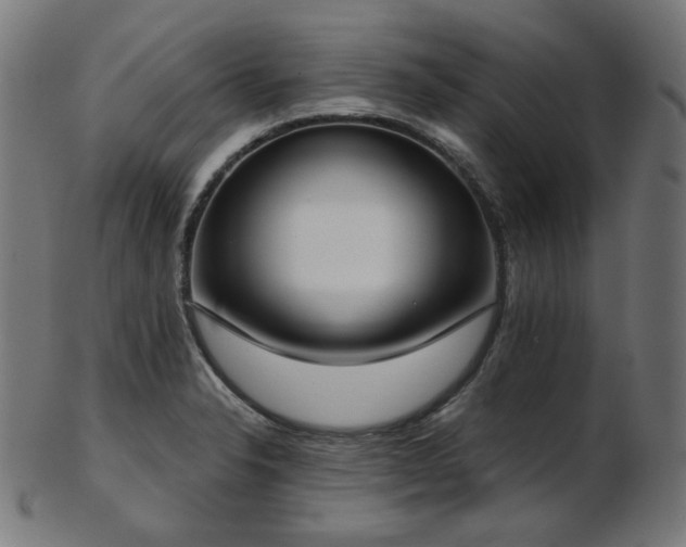 X0000103461326200809121554