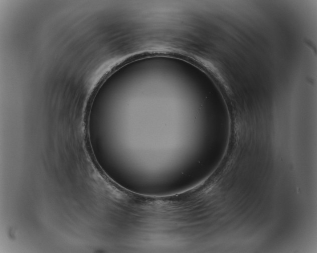 X0000103461327200809121554