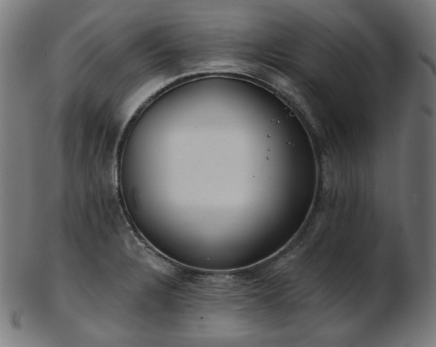 X0000103461328200809121554