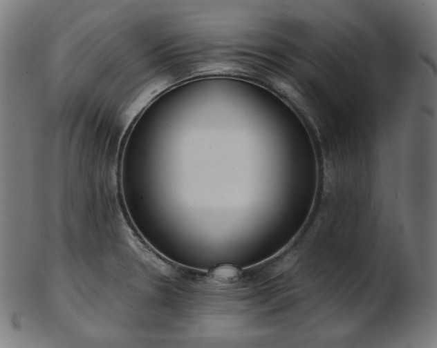 X0000103461330200809121554
