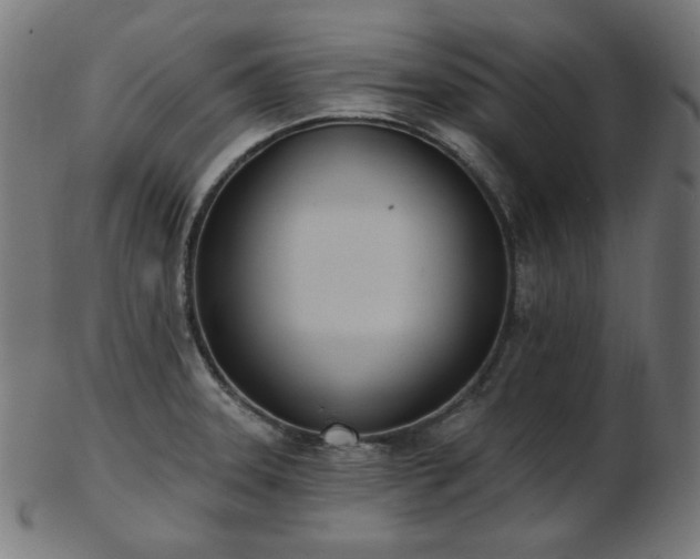 X0000103461331200809121554