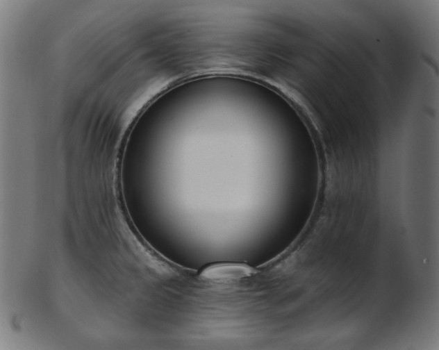 X0000103461333200809121554