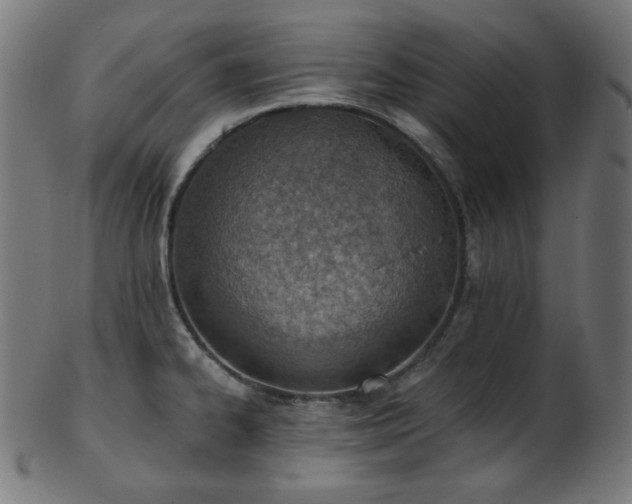 X0000103461334200809121554