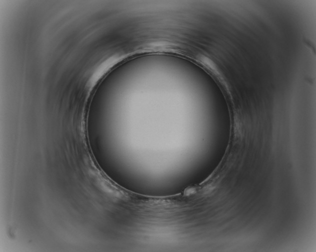 X0000103461336200809121554