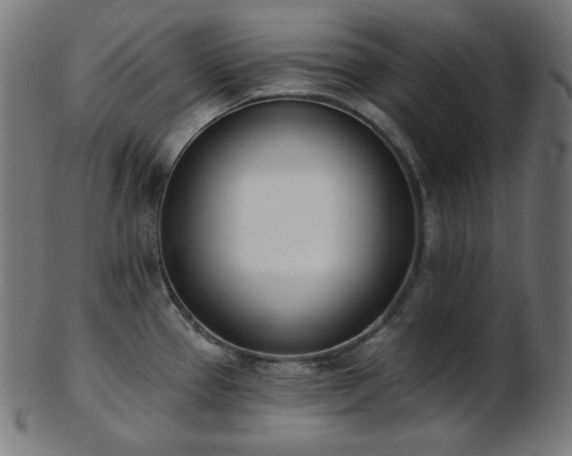 X0000103461337200809121554