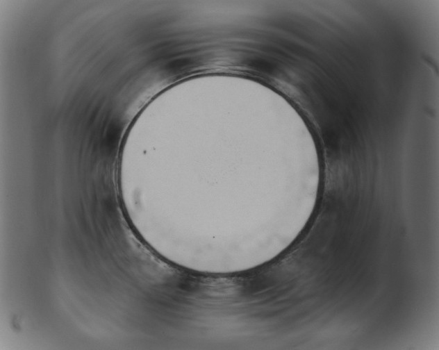 X0000103461338200809121554