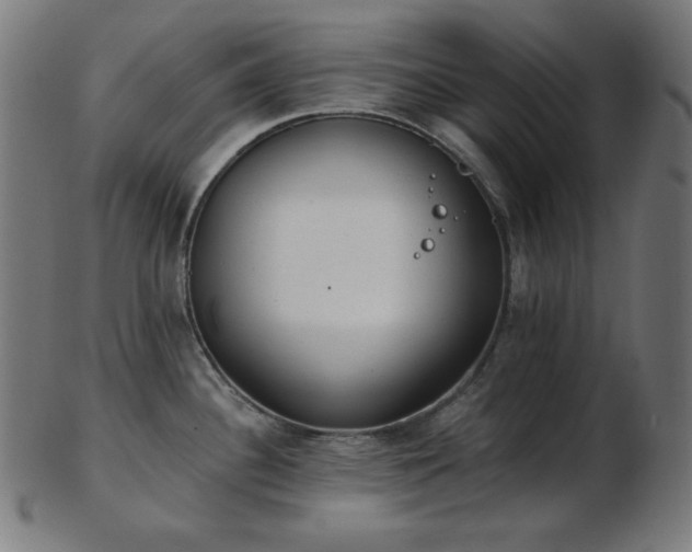 X0000103461340200809121554