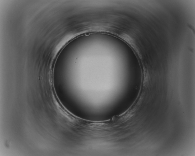 X0000103461342200809121554
