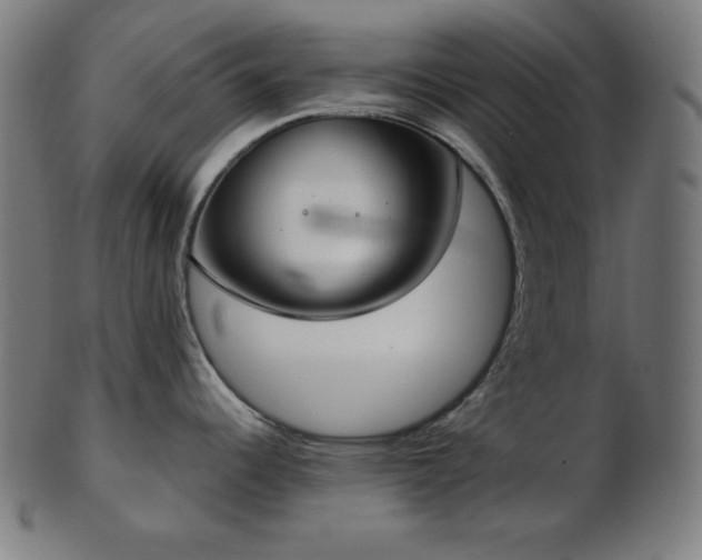 X0000103461344200809121555