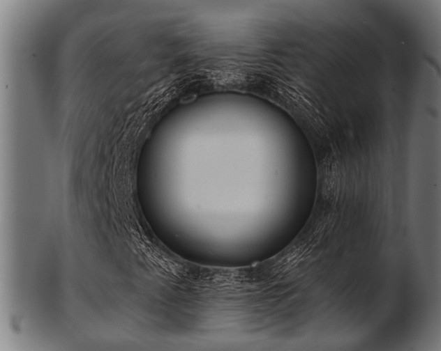 X0000103461345200809121554
