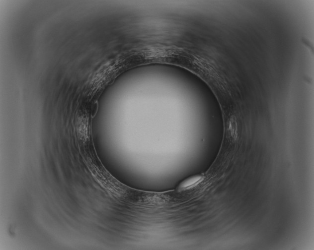 X0000103461348200809121554