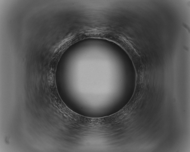 X0000103461350200809121554