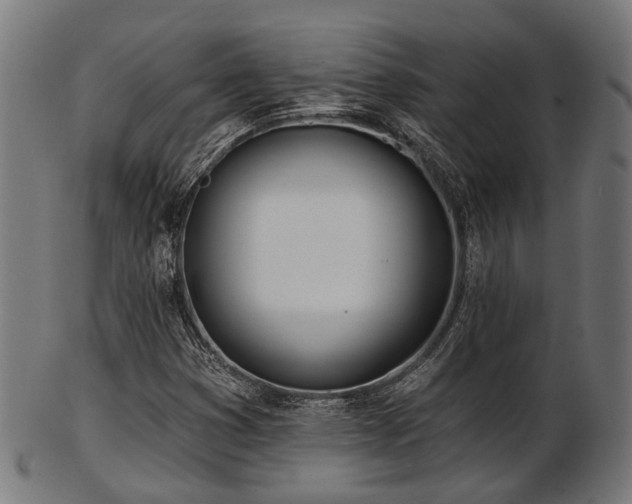 X0000103461353200809121554