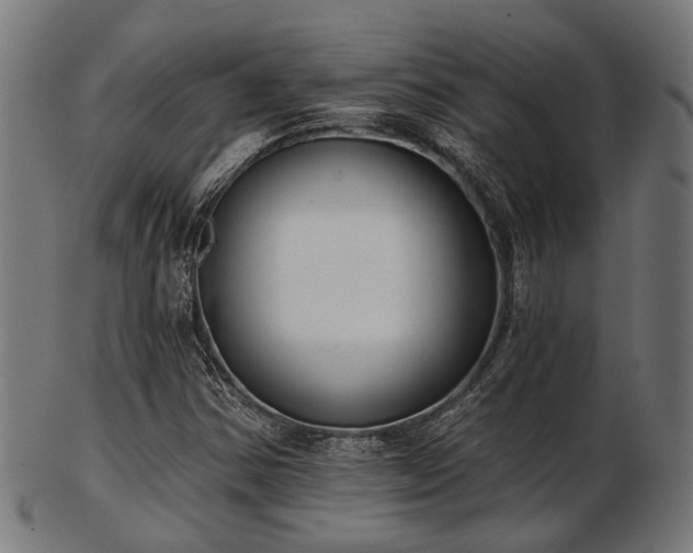 X0000103461354200809121554