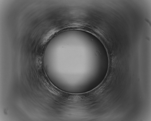 X0000103461355200809121554