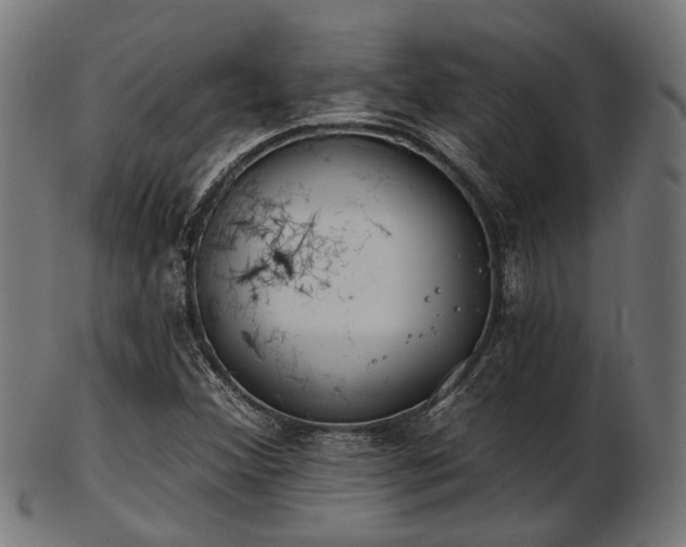 X0000103461356200809121554