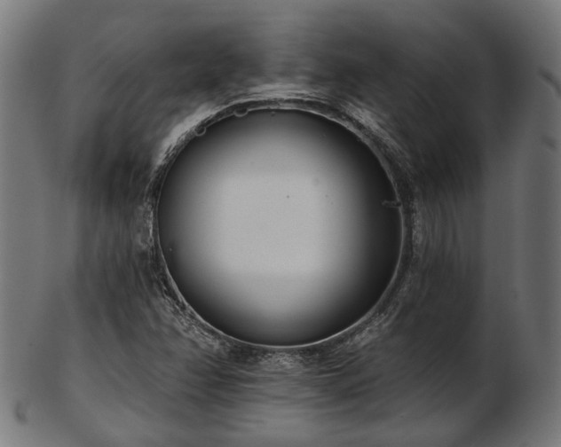 X0000103461358200809121554