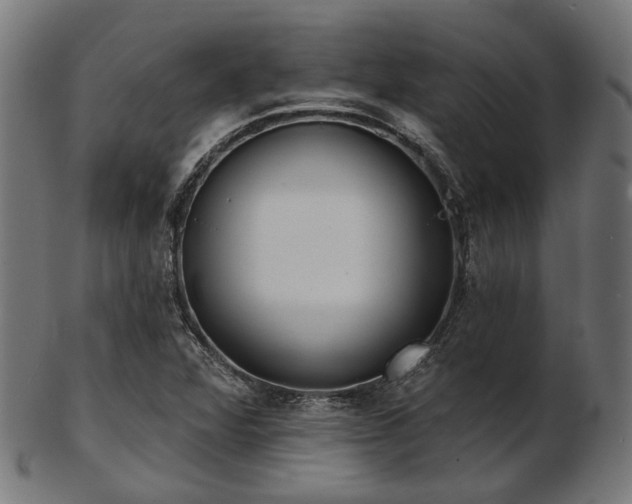 X0000103461360200809121554