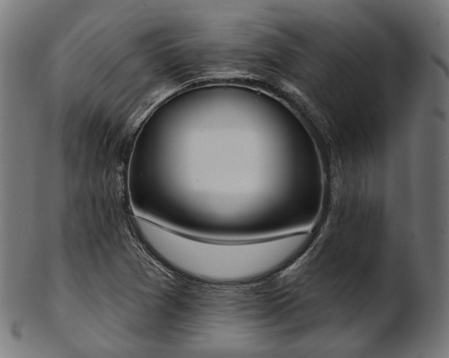 X0000103461361200809121554