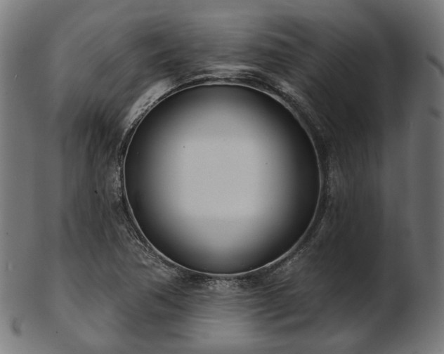 X0000103461362200809121554