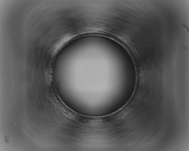 X0000103461363200809121554
