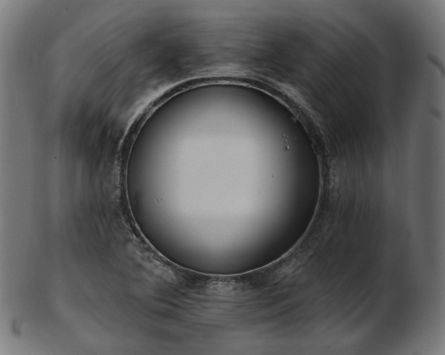 X0000103461364200809121554