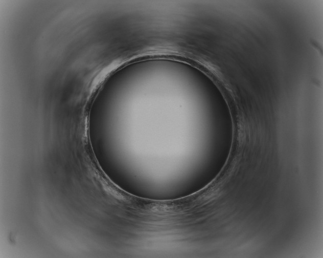 X0000103461366200809121554