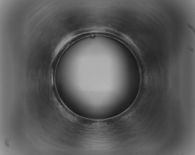 X0000103461368200809121554