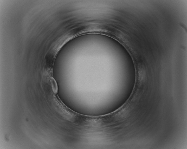 X0000103461369200809121554