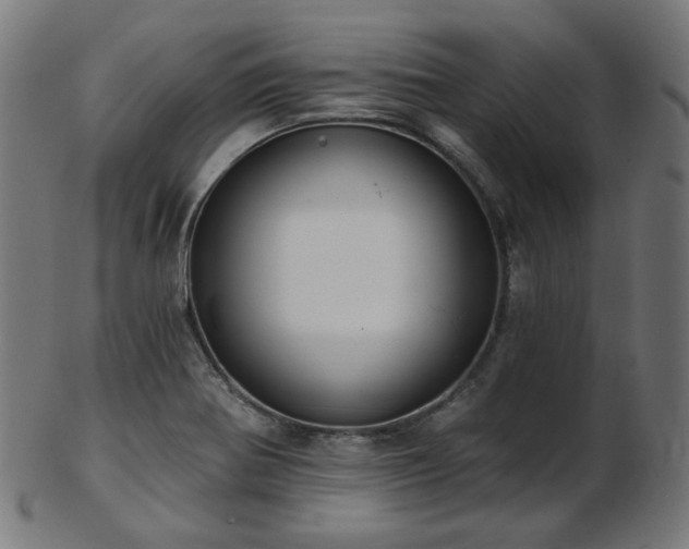 X0000103461370200809121554