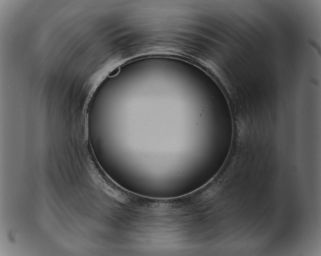 X0000103461371200809121554