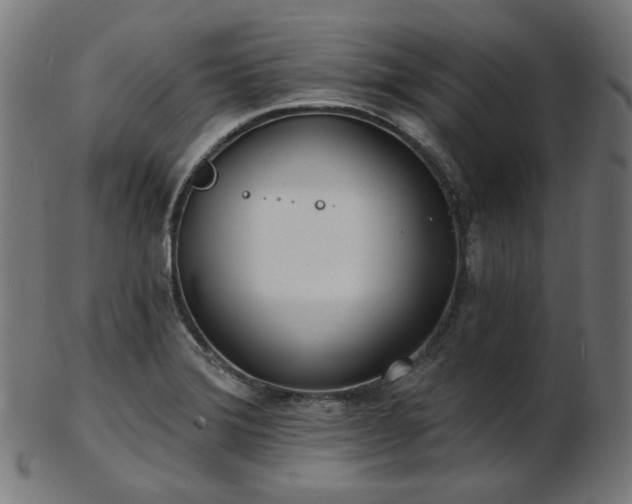 X0000103461372200809121553