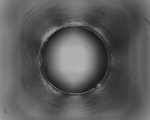 X0000103461373200809121553
