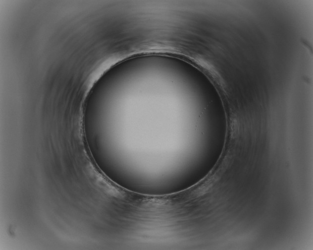 X0000103461374200809121553