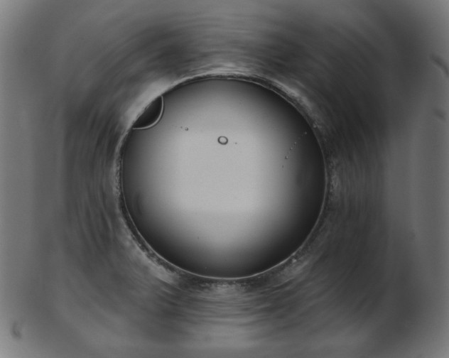 X0000103461375200809121553
