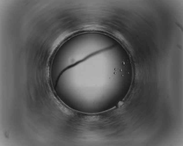 X0000103461376200809121553