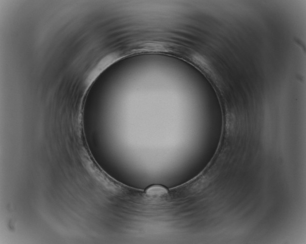X0000103461378200809121553