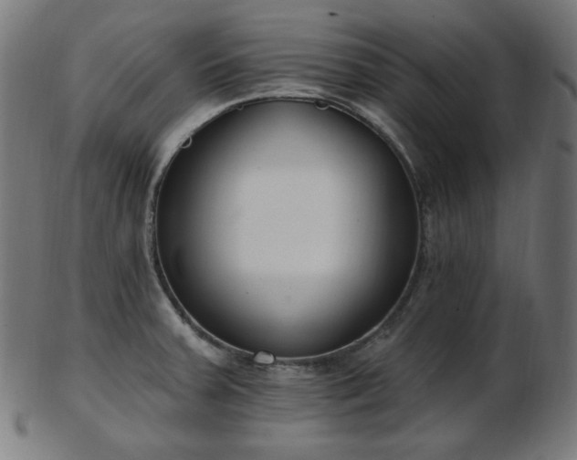 X0000103461379200809121553