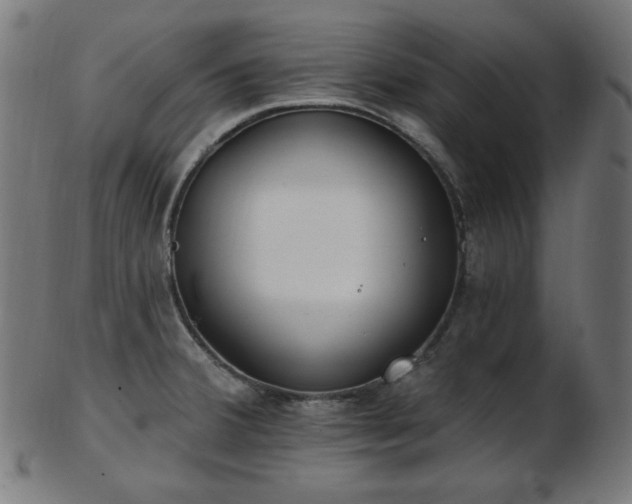 X0000103461380200809121553