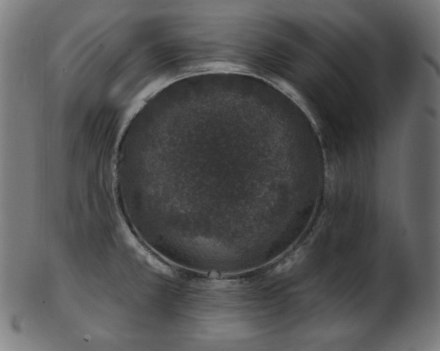 X0000103461381200809121553