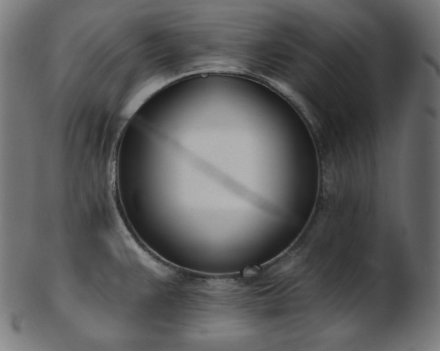 X0000103461383200809121553