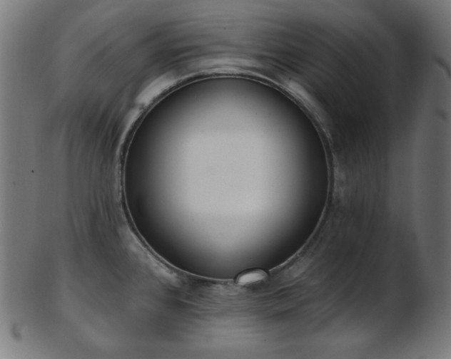 X0000103461384200809121553
