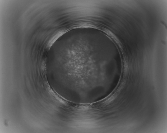 X0000103461385200809121553