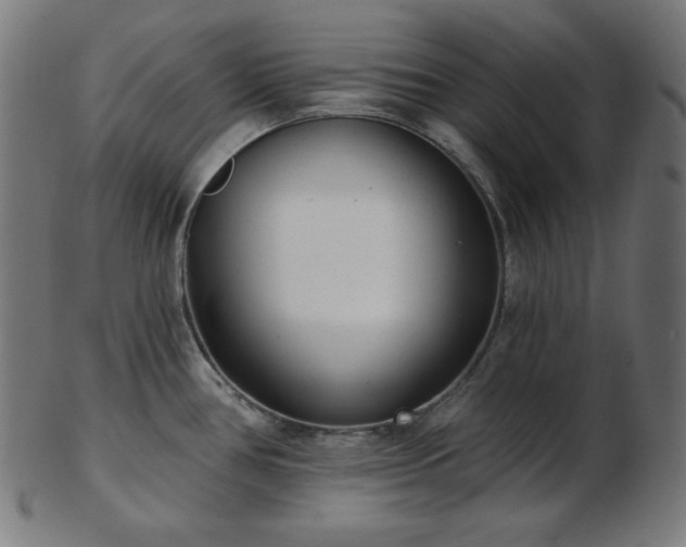 X0000103461386200809121553
